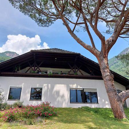 Villa Pinie Apt 1 Terlano Exteriér fotografie