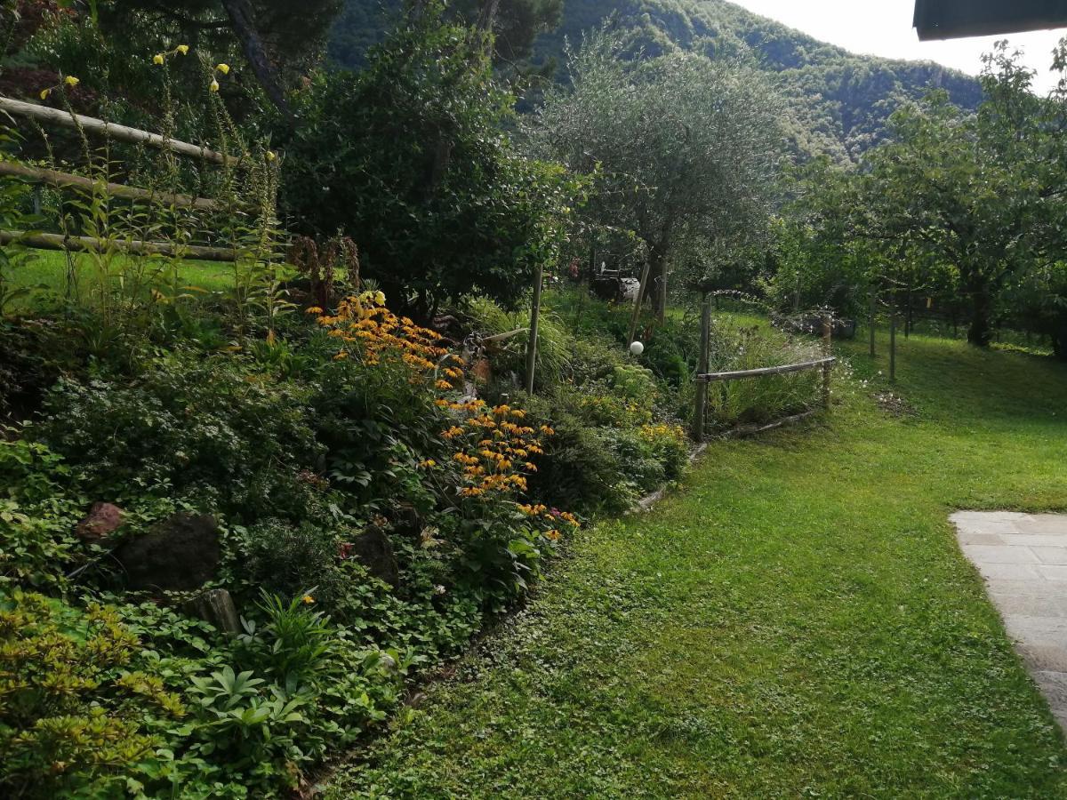 Villa Pinie Apt 1 Terlano Exteriér fotografie