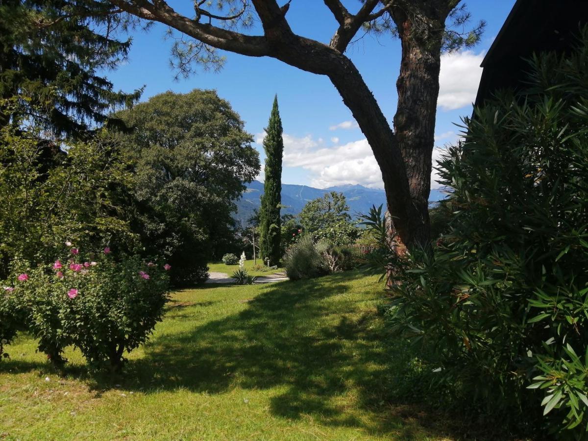 Villa Pinie Apt 1 Terlano Exteriér fotografie