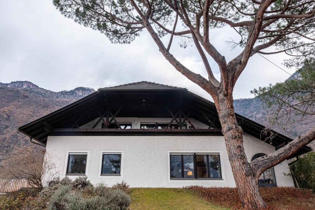 Villa Pinie Apt 1 Terlano Exteriér fotografie